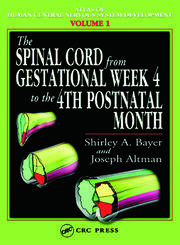 The Spinal Cord from Gestational Week 4 to the 4th Postnatal Month