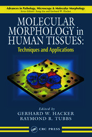Molecular Morphology in Human Tissues