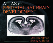 Atlas of Prenatal Rat Brain Development