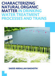 Characterizing Natural Organic Matter in Drinking Water Treatment Processes and Trains