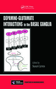 Dopamine – Glutamate Interactions in the Basal Ganglia