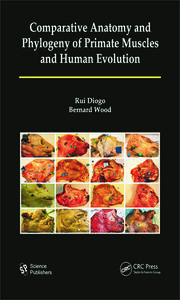 Comparative Anatomy and Phylogeny of Primate Muscles and Human Evolution
