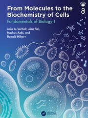 From Molecules to the Biochemistry of Cells